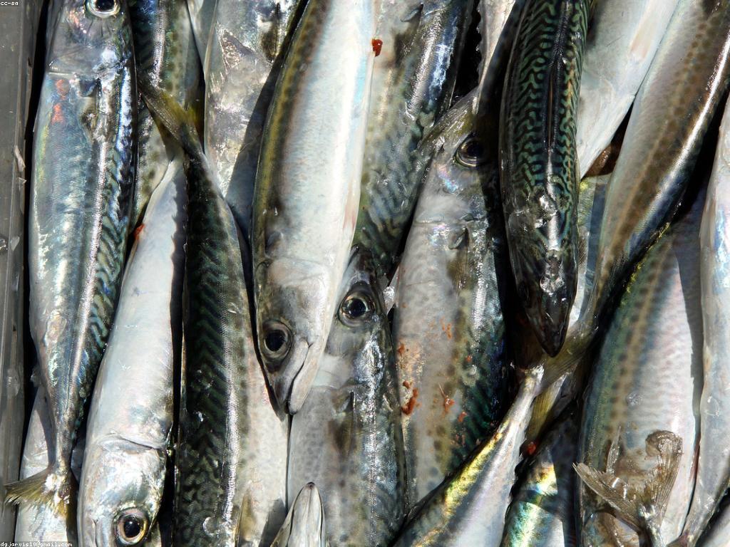 យុទ្ធសាស្ត្រនៃការវិភាគនិងការអភិវឌ្ឍន៍