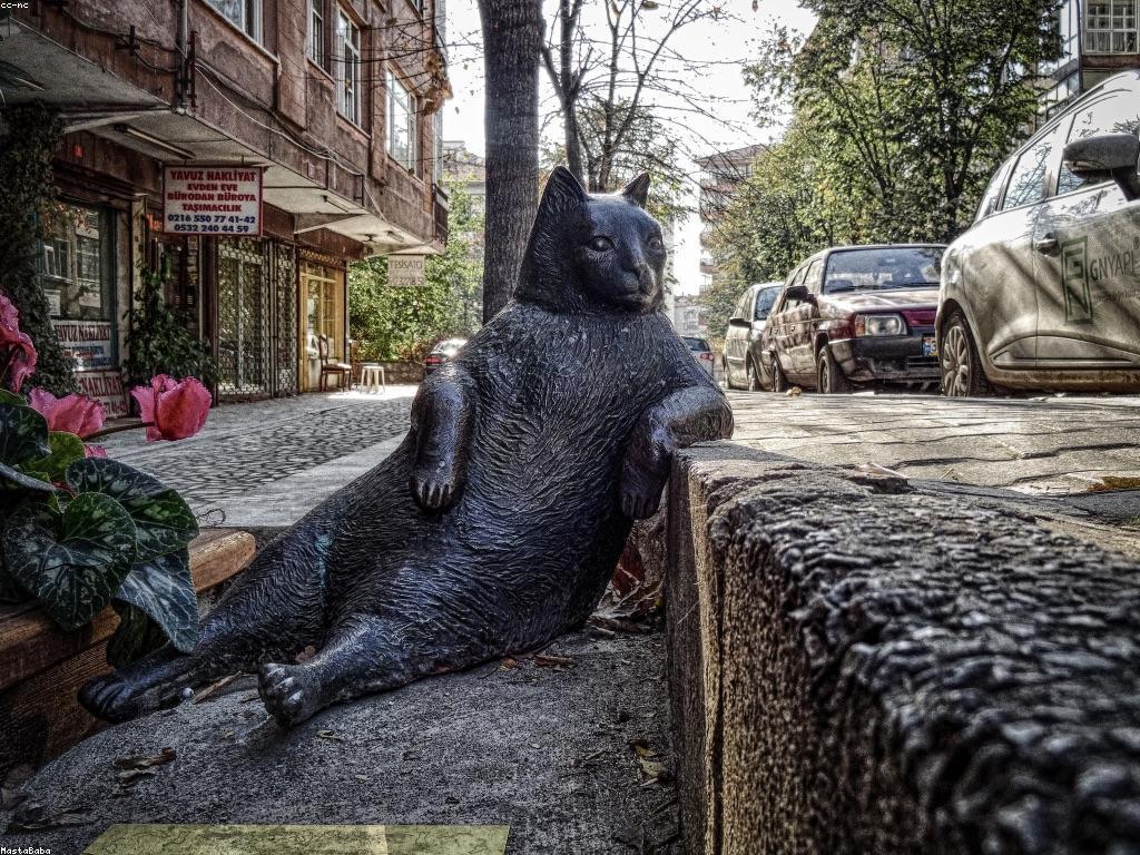 ការកែលម្អរបាយការណ៍និងសកម្មភាព