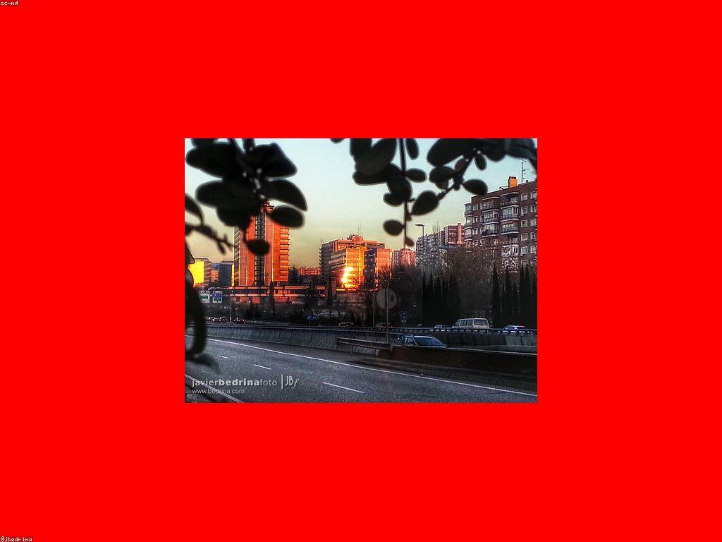 ជំនួយសម្រាប់អ្នកឈ្នះថ្មី: គន្លឹះដើម្បីជោគជ័យ